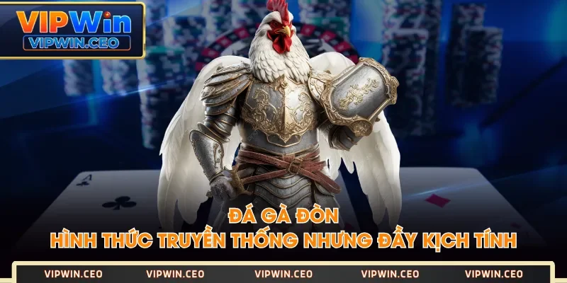 Đá Gà Đòn - Hình Thức Truyền Thống Nhưng Đầy Kịch Tính